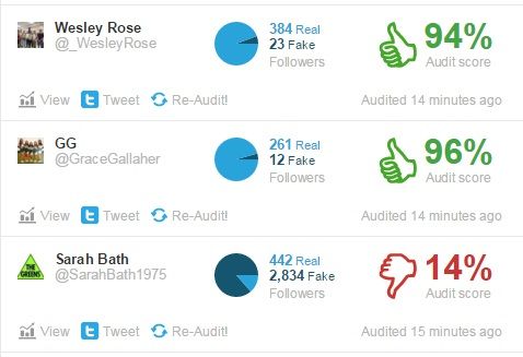 Twitter Audit falsos seguidores
