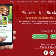 Social Animals App